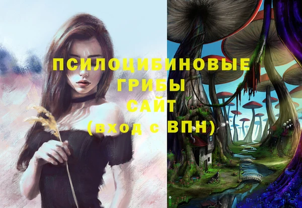 ECSTASY Алексин