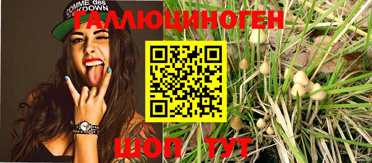 Калач-на-Дону  Галлюциногенные грибы Psilocybe  Вход с VPN 